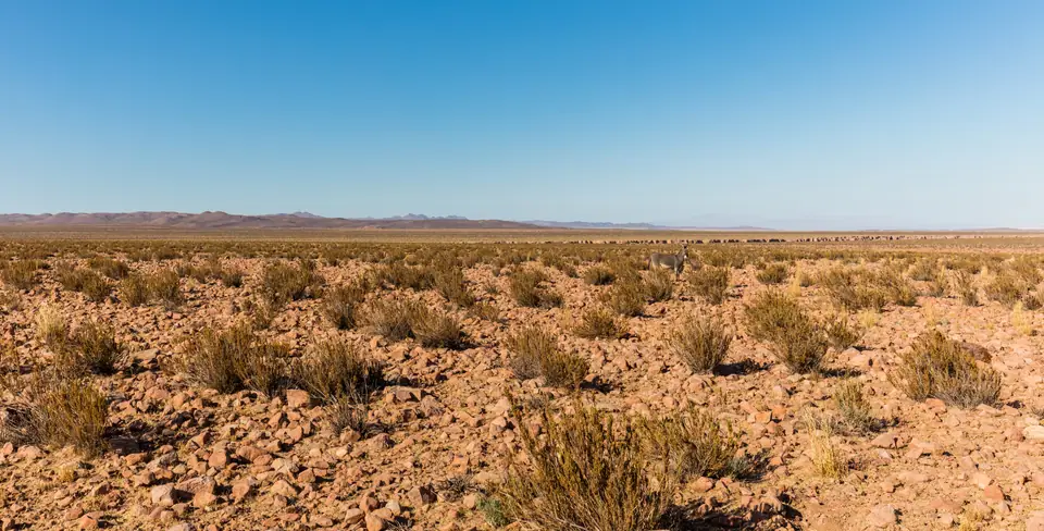 Llanura árida cerca de Calama, en el desierto de Atacama, sin vegetación visible
