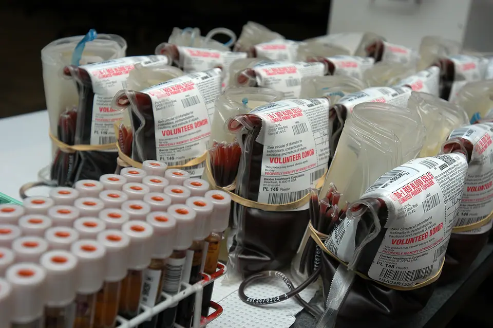 Bolsas de sangre donada con etiquetas junto a tubos de muestra en un banco de sangre