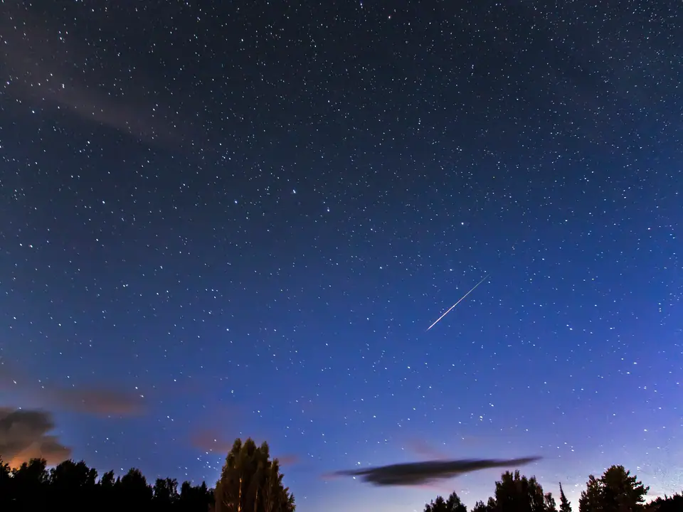 Una estrella fugaz de las Perseidas cruza el cielo estrellado sobre un bosque, en agosto de 2016