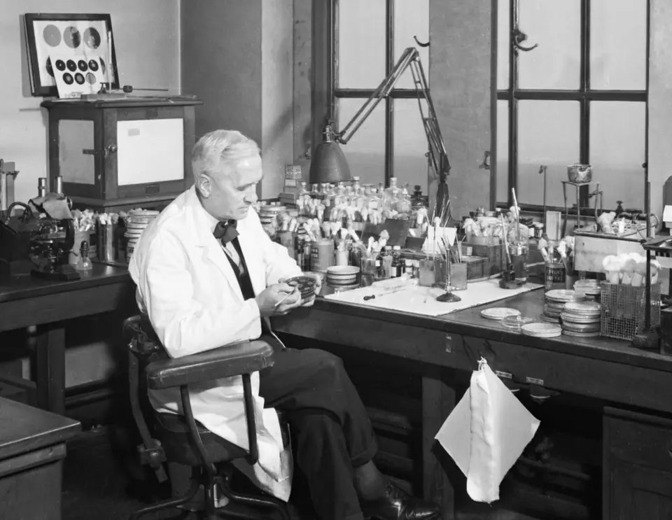 Alexander Fleming con bata blanca, sentado en su mesa de trabajo del laboratorio del hospital St Mary's de Londres