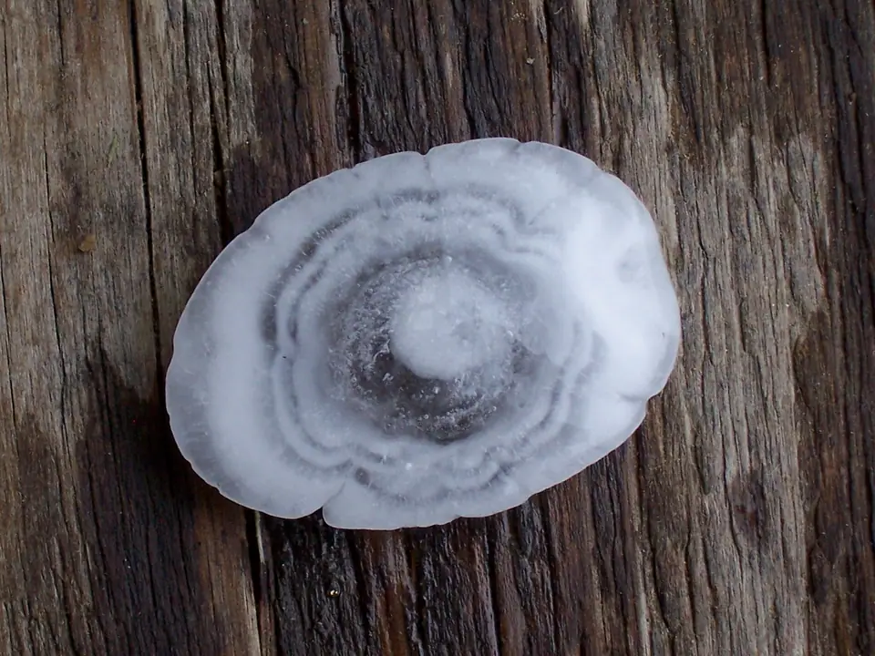 Piedra de granizo cortada al medio, con capas concéntricas de hielo claro y opaco alrededor de un núcleo