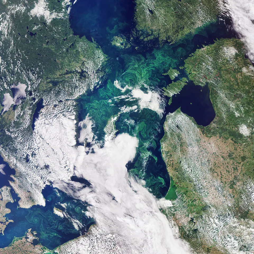 Imagen del satélite Sentinel-3: remolinos verdes de algas y fitoplancton sobre el agua azul oscura del mar Báltico, rodeado de tierra y nubes