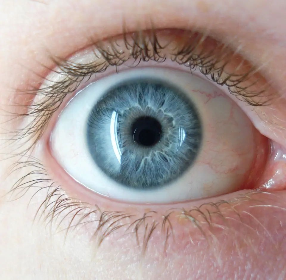 Primer plano de un ojo humano de iris azul claro con vetas más oscuras alrededor de la pupila