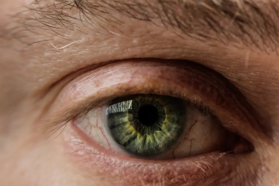 Primer plano de un ojo humano de iris verde, con la pupila y las pestañas