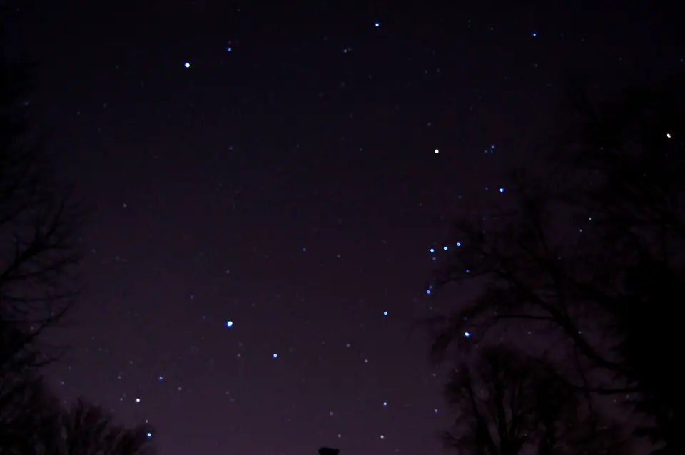 Cielo nocturno con la constelación de Orión entre las siluetas de árboles; Betelgeuse es la estrella rojiza de su hombro