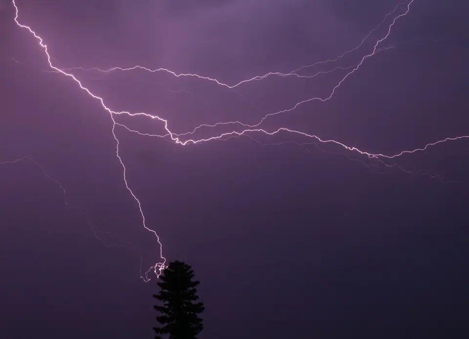 Rayo ramificado en un cielo violeta de tormenta que baja hasta la copa de un pino solitario